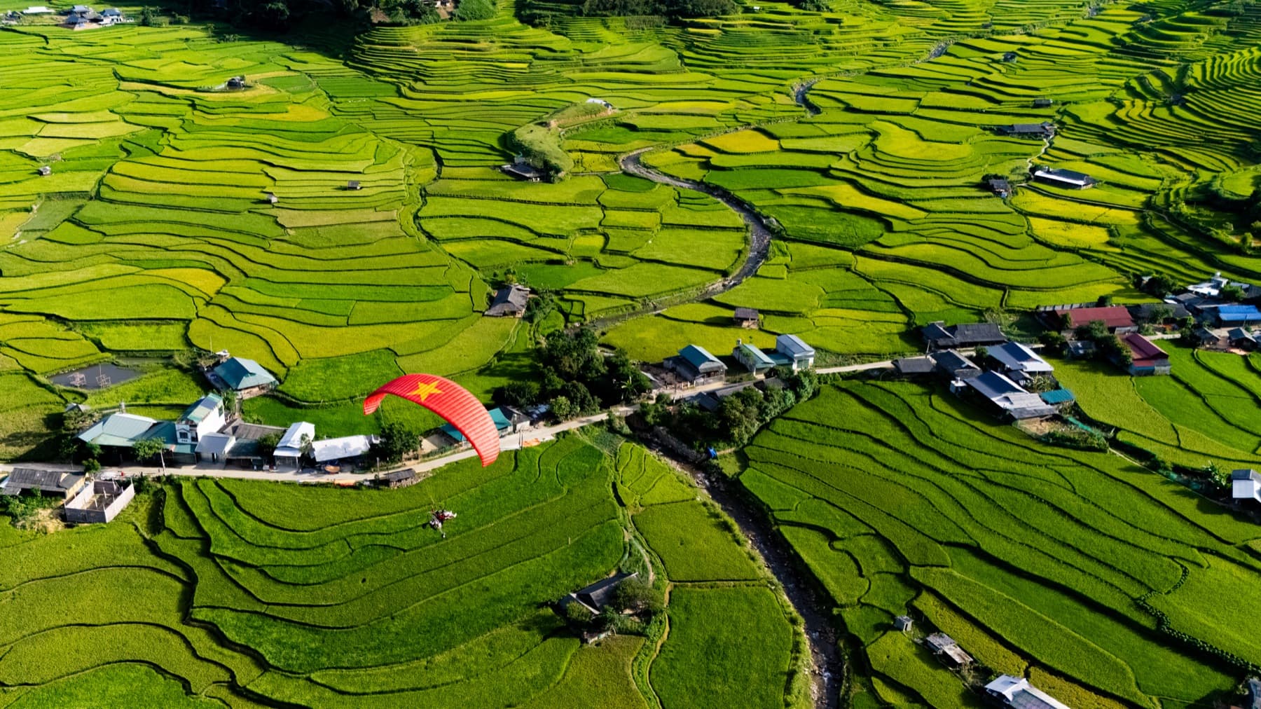 Khoảnh khắc mùa vàng 10