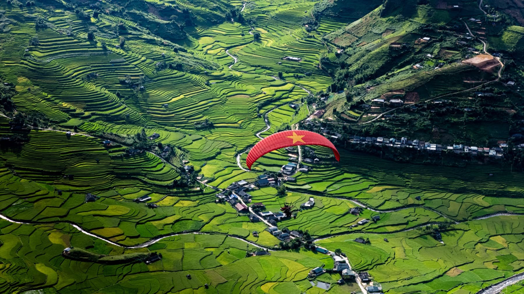 Khoảnh khắc mùa vàng 15