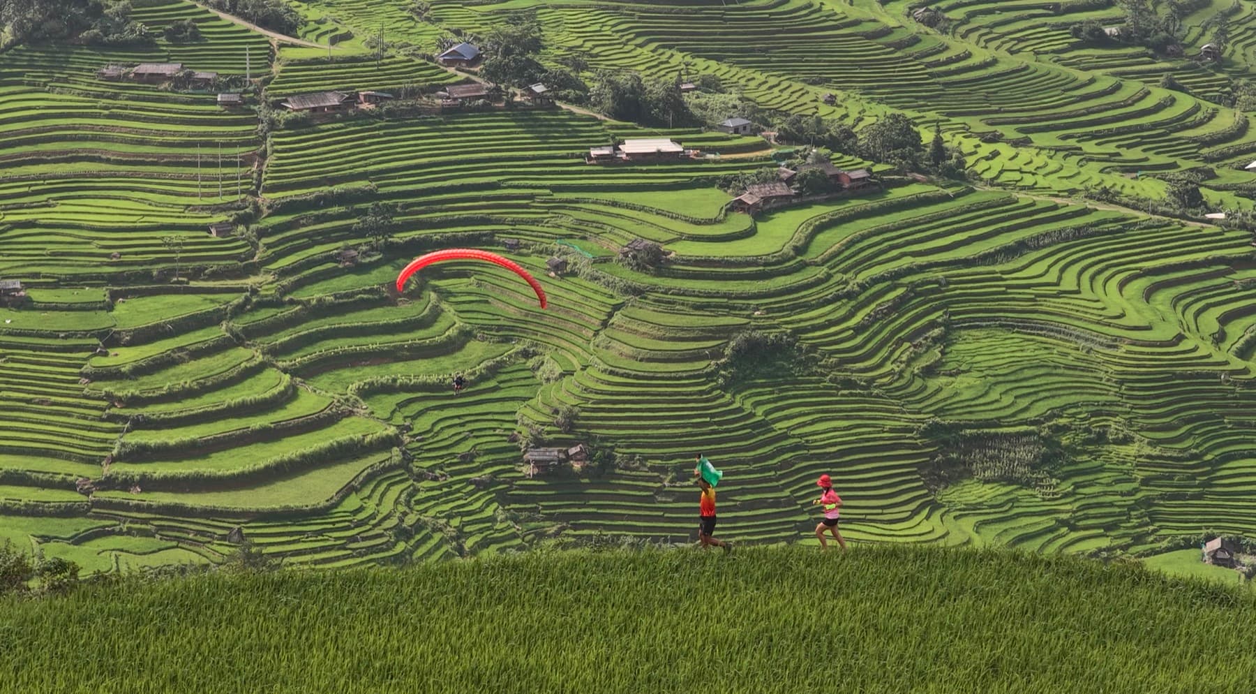 Khoảnh khắc mùa vàng 16