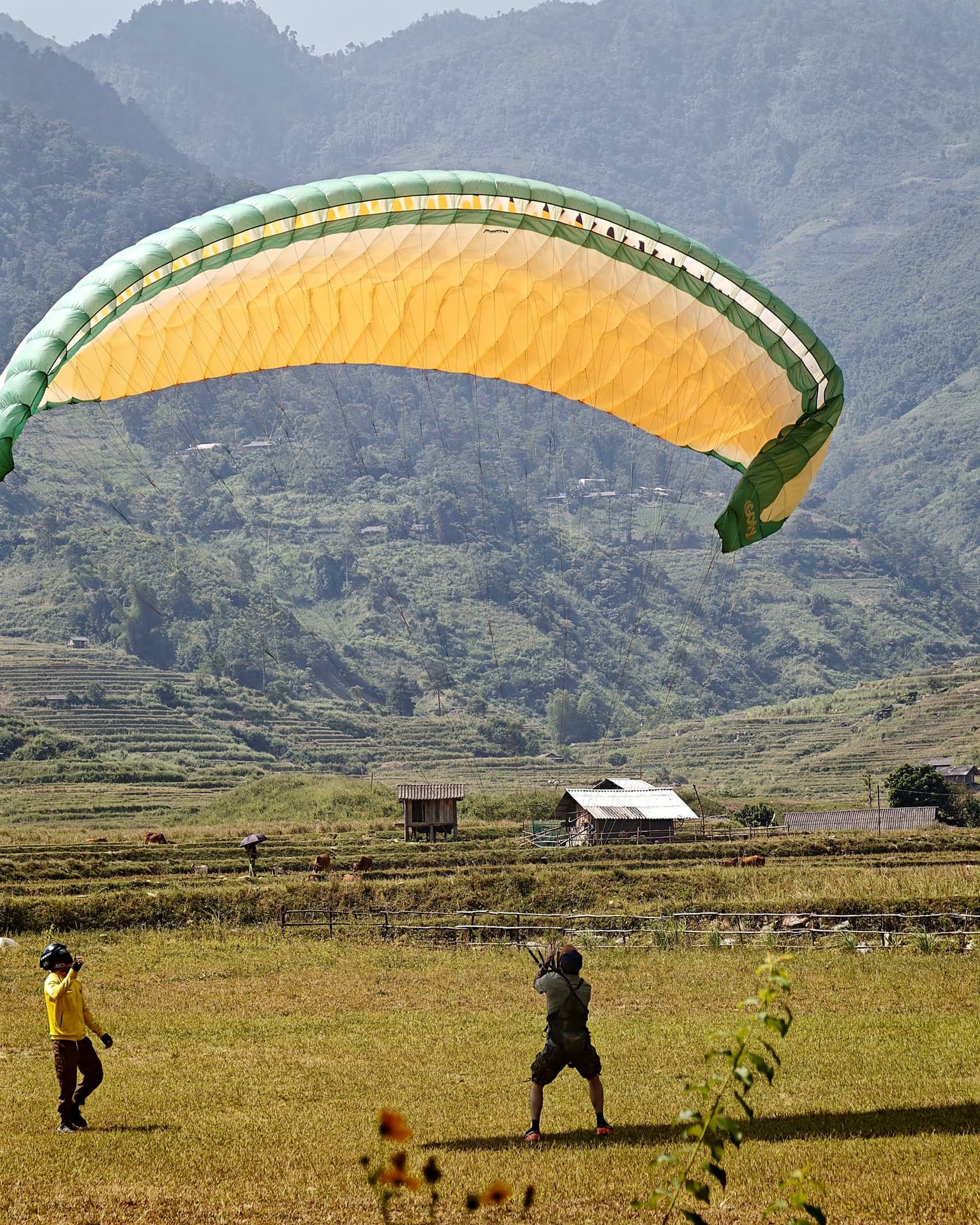 A long hold: wing steady overhead, the student under its centre.