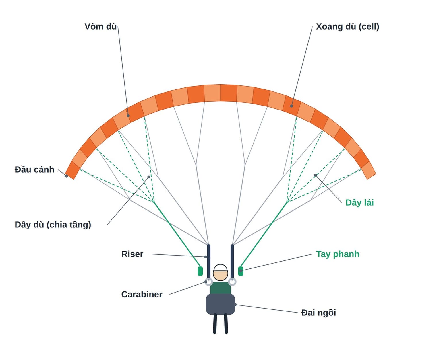 The kit from the front. The lines (grey) cascade in several tiers from the wing down to the risers; the brake lines (green) attach to the trailing edge, in two separate halves, left and right, and run to the brake handles. (Labels in Vietnamese.)