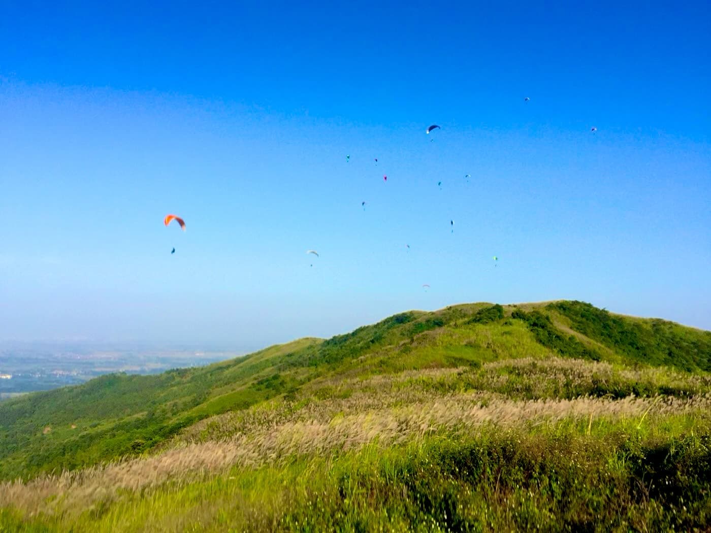 The grassy Doi Bu ridge from the take-off, many gliders in the sky over the plain