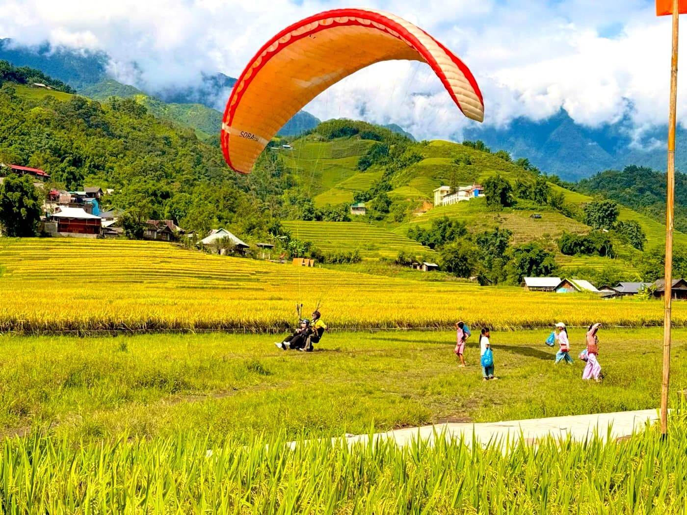 Dù hạ cánh xuống bãi giữa ruộng lúa chín ở Lao Chải