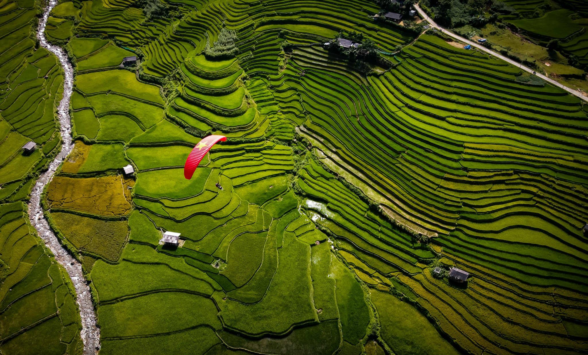 Ruộng bậc thang mùa vàng tại đèo Khau Phạ