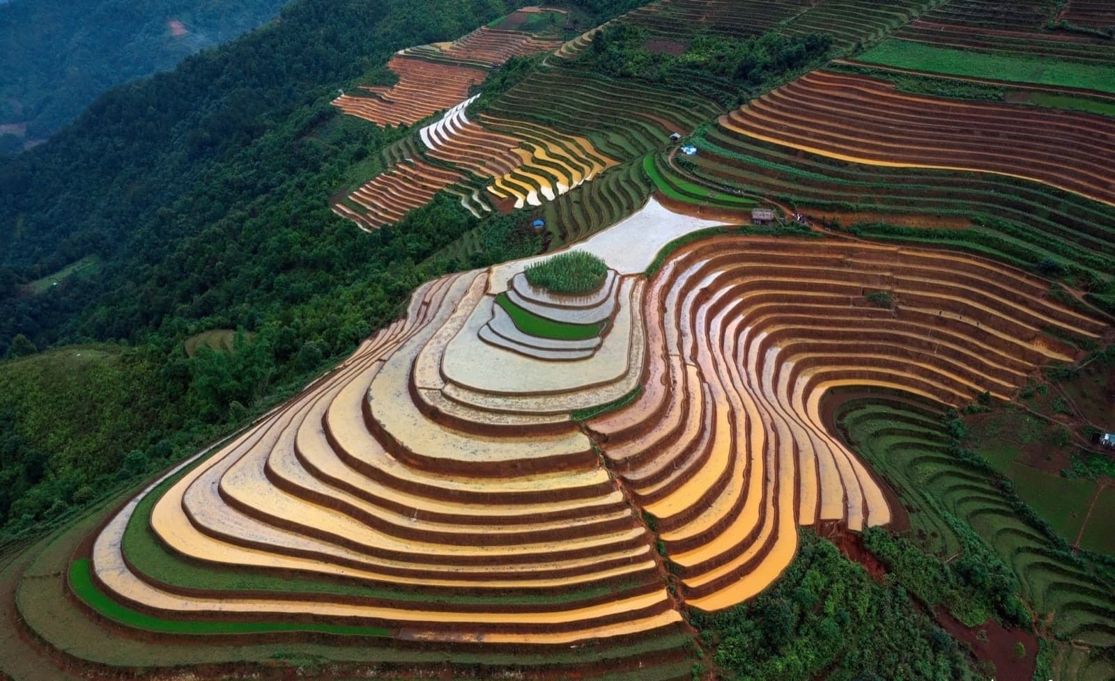 Collines de Mâm Xôi, La Pán Tẩn : eau et riz doré