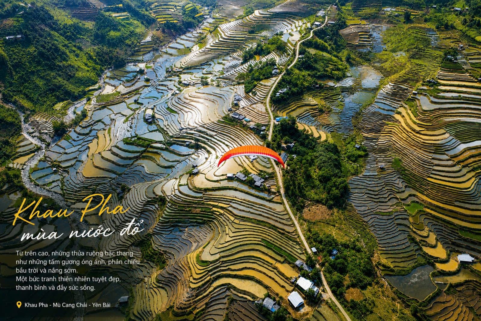 Water-Pouring Season in Mu Cang Chai: Paragliding Over Lim Mong