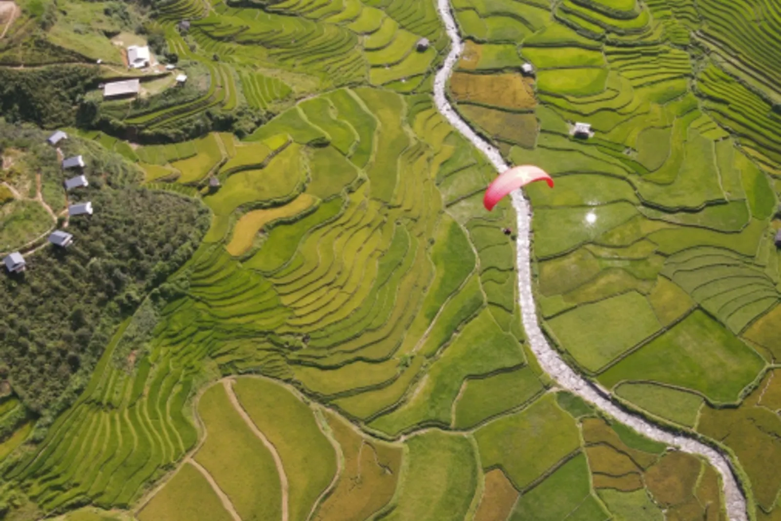 Lìm Mông : vue sur les rizières sous le col de Khau Phạ