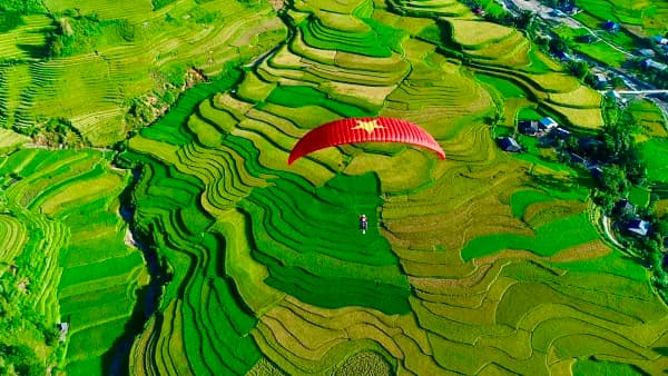 Dù lượn Mù Cang Chải hay Sapa? So sánh từ đơn vị vận hành cả hai