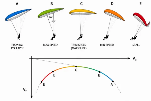 The Polar Curve: Understanding Glider Performance