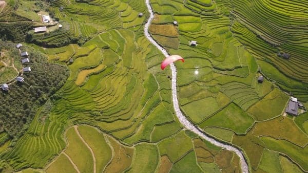Bản Lìm Mông: góc ngắm ruộng bậc thang dưới đèo Khau Phạ