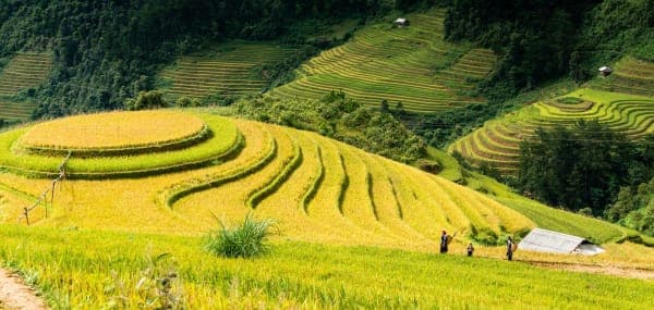 Đồi Mâm Xôi lớn La Pán Tẩn, Mù Cang Chải: đường đi, giờ đẹp