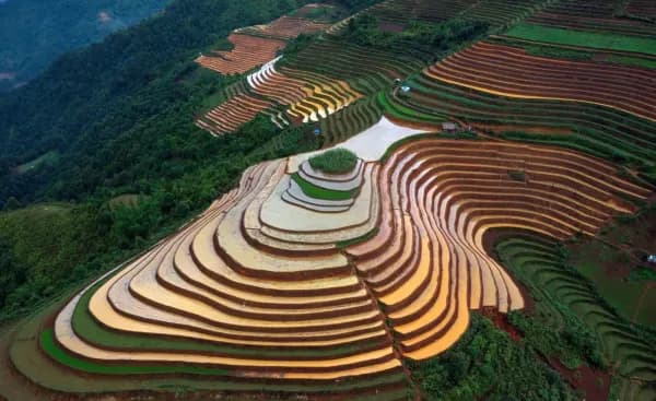 Mam Xoi Hills, La Pan Tan: Water Season and Golden Rice