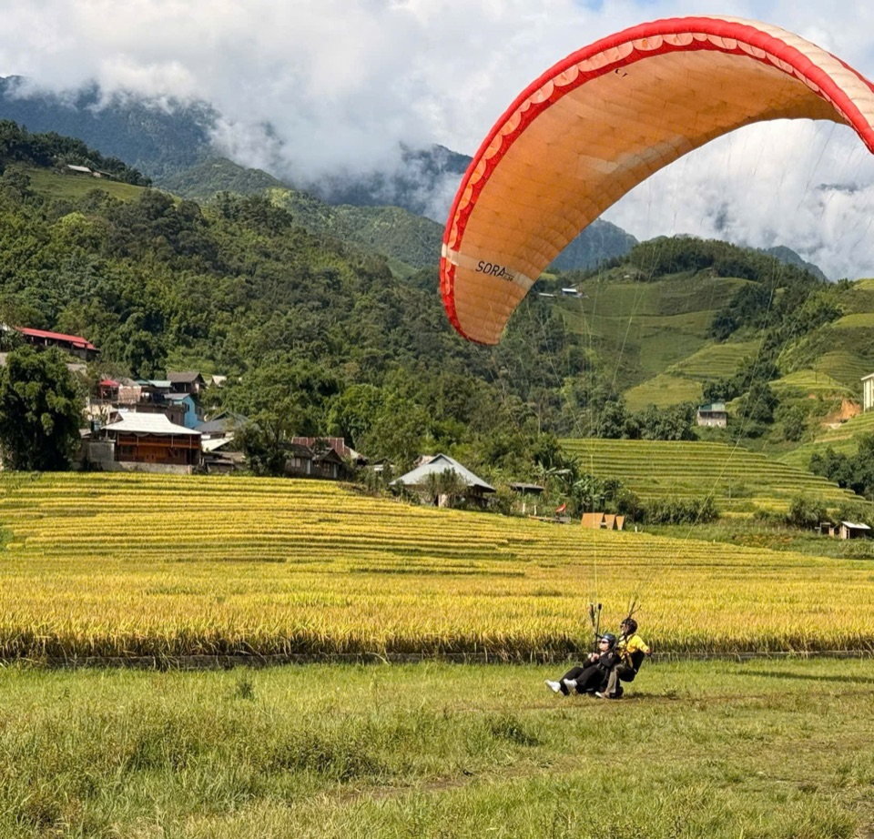 Dù đôi hạ cánh trên bãi cỏ cạnh ruộng lúa chín ở thung lũng Sa Pa