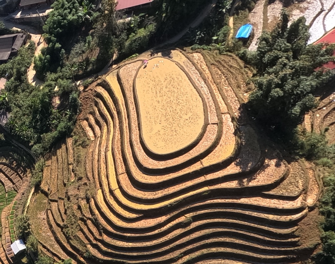 Ruộng bậc thang Mường Hoa nhìn từ dù lượn, bãi hạ khẩn cấp không bằng phẳng